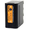 Dynacore DV-6CS Battery (6600mAh, L-Series)