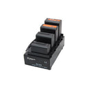 Dynacore DV-FS Quad L-Series/NP-F Charger