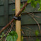 3 Legged Thing Reusable Cable Ties (Black, 50-Pack)