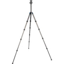 Sirui ST-125 Carbon Fiber Tripod with KS-30 Ball Head