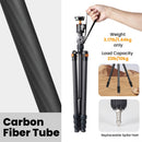 TARION H11X Carbon Fiber Tripod with 360&deg; Panoramic Ball Head