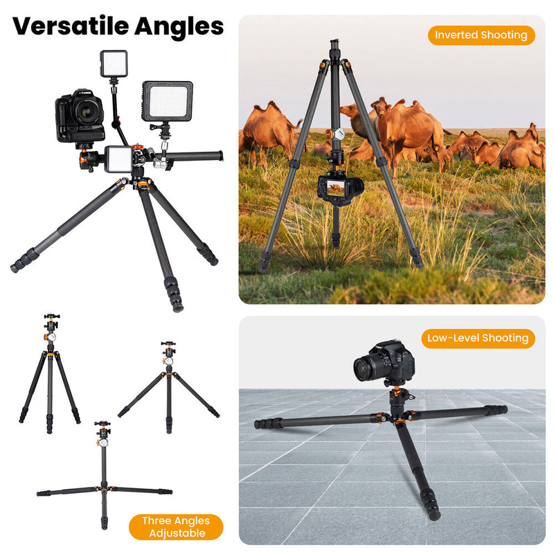 TARION H11X Carbon Fiber Tripod with 360&deg; Panoramic Ball Head