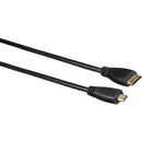 DigitalFoto Solution Limited Mini-HDMI Male to Micro-HDMI Male Cable (3.3')