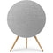 Bang & Olufsen Beoplay A9 Wireless Speaker (Natural Aluminum, 5th Gen)
