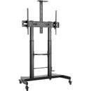 Gabor FPC-100 Flat Panel TV Cart for 60-100" Displays