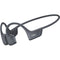 SHOKZ OpenRun Pro 2 Wireless Hybrid Sports Headphones (Black)