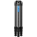 Leofoto LM-364CX Carbon Fiber Tripod with LH-55LR Ball Head