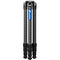 Leofoto LM-364CX Carbon Fiber Tripod with LH-55LR Ball Head