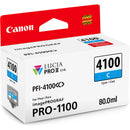 Canon imagePROGRAF PRO-1100 Professional 17" Wireless Inkjet Photo Printer with 12 PFI-4100 Ink Tanks Kit