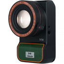 Hobolite Iris Bi-Color LED Light (Jungle Edition)