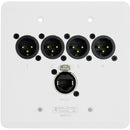 SoundTools WallCat 5 XLR Audio Over Cat5 (XLR Male, White)