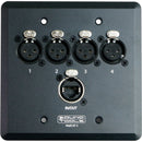 SoundTools WallCat 5 XLR Audio Over Cat5 (XLR Female, Black)