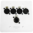 SoundTools WallCat 5 XLR Audio Over Cat5 (XLR Female, White)