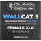 SoundTools WallCat 5 XLR Audio Over Cat5 (XLR Female, White)