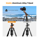 K&F Concept T254A7 Video Tripod with FH-03 Fluid Head