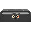 SVS SoundPath Speaker Level Subwoofer Adapter