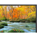 Sharp PN-ME652 65" UHD 4K HDR Commercial Monitor