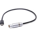 DigitalFoto Solution Limited USB-C to 4-Pin Power Cable for DJI Transmission (11.8")