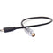 DigitalFoto Solution Limited USB-C to 4-Pin Power Cable for DJI Transmission (11.8")
