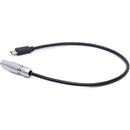 DigitalFoto Solution Limited USB-C to 4-Pin Power Cable for DJI Transmission (11.8")