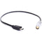 DigitalFoto Solution Limited USB-C to 4-Pin Power Cable for DJI Transmission (11.8")