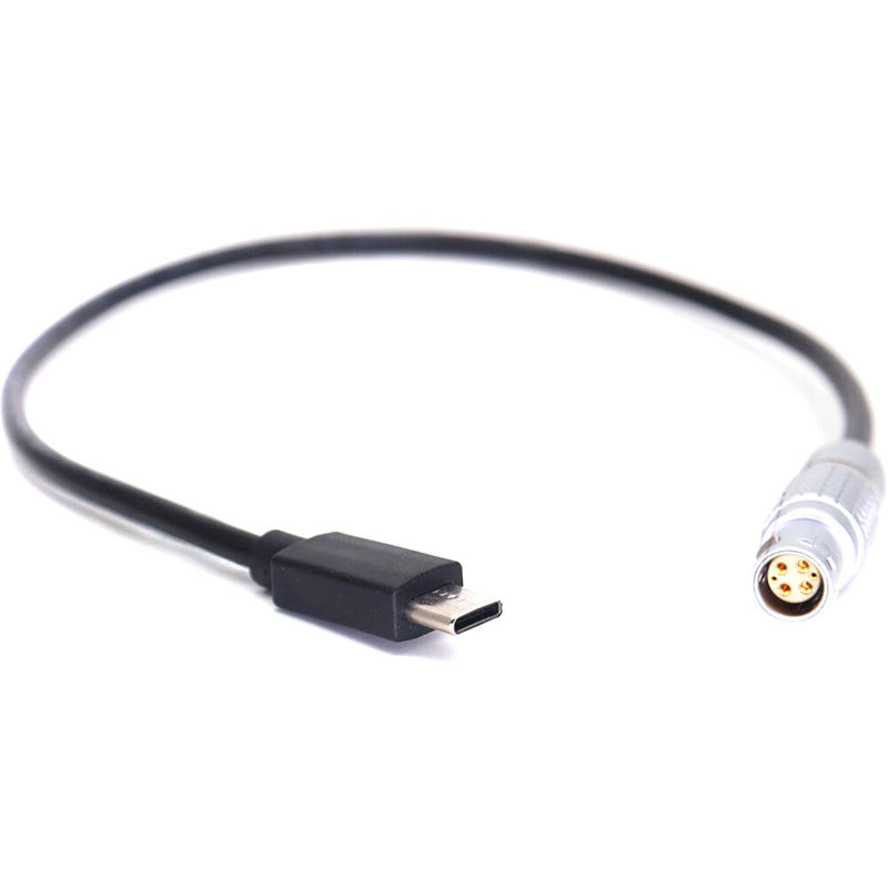 DigitalFoto Solution Limited USB-C to 4-Pin Power Cable for DJI Transmission (11.8")