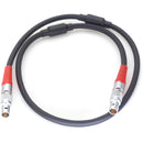 DigitalFoto Solution Limited LBUS 4-Pin to 4-Pin Motor Cable for ARRI WCU-4 (11.8")