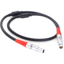 DigitalFoto Solution Limited LBUS 4-Pin to 4-Pin Motor Cable for ARRI WCU-4 (11.8")