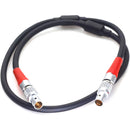 DigitalFoto Solution Limited LBUS 4-Pin to 4-Pin Motor Cable for ARRI WCU-4 (11.8")