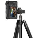 Ulanzi MT-63 Mini Tripod with Ball Head