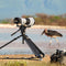 SmallRig Wildlife Photography Lens Support Kit (Touch & Go Plate S)