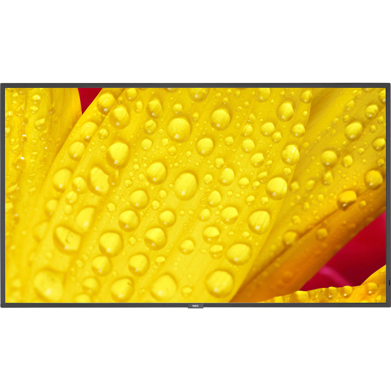 Sharp M501-2 50" UHD 4K HDR Commercial Monitor
