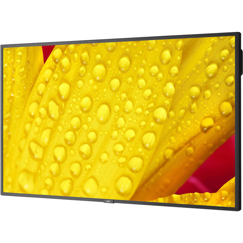 Sharp M501-2 50" UHD 4K HDR Commercial Monitor