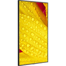 Sharp M501-2 50" UHD 4K HDR Commercial Monitor