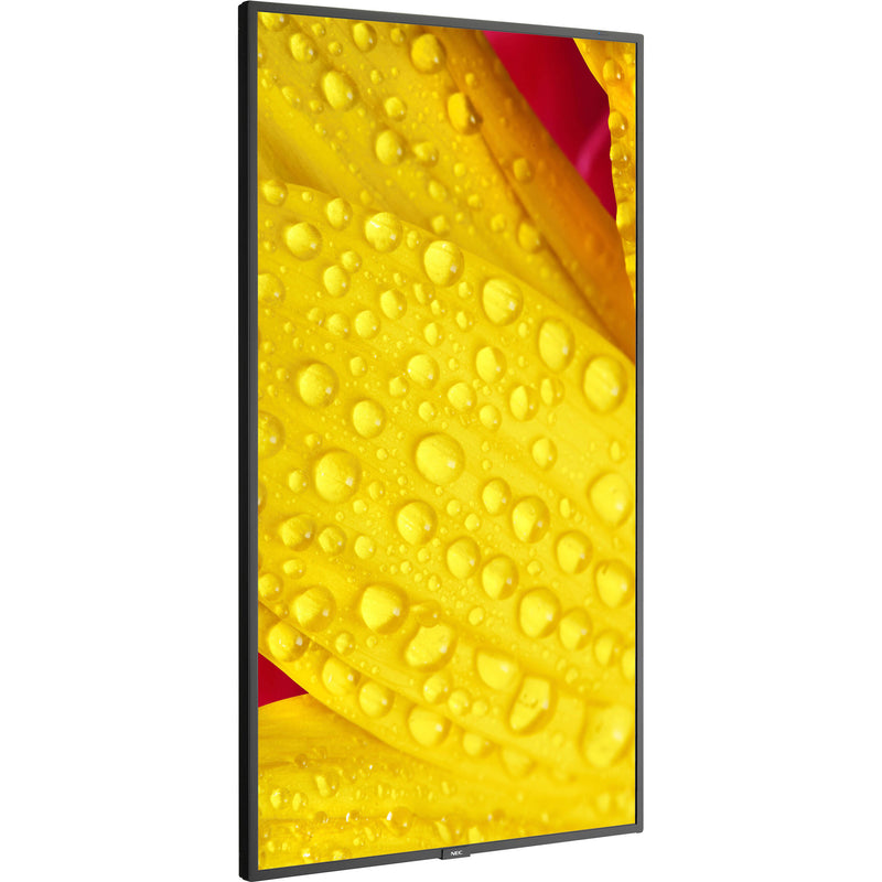 Sharp M501-2 50" UHD 4K HDR Commercial Monitor