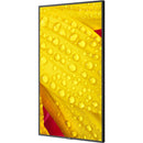 Sharp M501-2 50" UHD 4K HDR Commercial Monitor