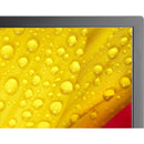 Sharp M501-2 50" UHD 4K HDR Commercial Monitor