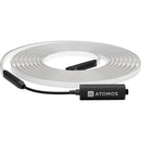 Atomos Sun Dragon LED Strip Rope Light with Diffuser (16', White)
