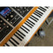 AEA Ribbon Mics TDI Duo 2-Channel Active Direct Box
