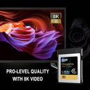 Silicon Power 256GB CFexpress Type B Memory Card