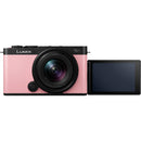 Panasonic Lumix S9 Mirrorless Camera with 18-40mm f/4.5-6.3 Lens (Sakura Pink)