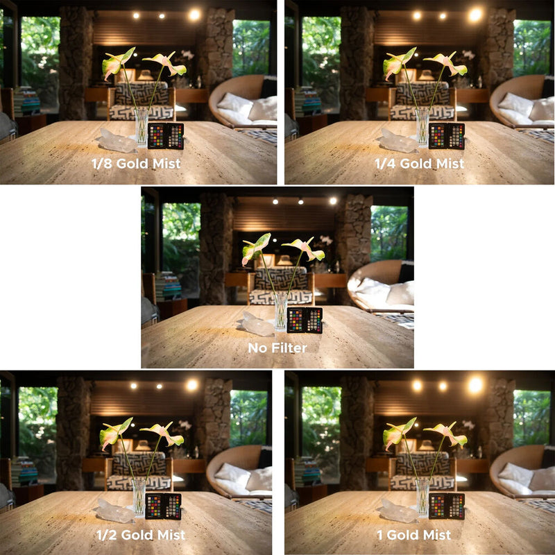 Hoya CinePro HD Gold Mist Diffusion Filter (67mm, Grade 1/8)