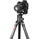 Sunwayfoto LS-85 85mm Rotating Ring Lens Support