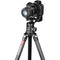 Sunwayfoto LS-85 85mm Rotating Ring Lens Support