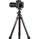 Sunwayfoto PC-40 Arca-Type 360? Mini Panning Clamp with SP-38QB Quick Release Plate Kit