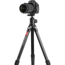 Sunwayfoto PC-40 Arca-Type 360? Mini Panning Clamp with SP-38QB Quick Release Plate Kit
