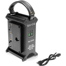 SHAPE FULL PLAY Dual Gold Mount 100W Fast Charger with LCD