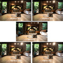 Hoya CinePro HD Silver Mist Diffusion Filter (67mm, Grade 1/4)