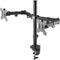 Helder Dual Tabletop&nbsp;Clamp Mount for 13 to 32" Monitors