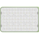 amaran Ace 25x Bi-Color LED Light Panel All-in-One Creator Kit (Green)